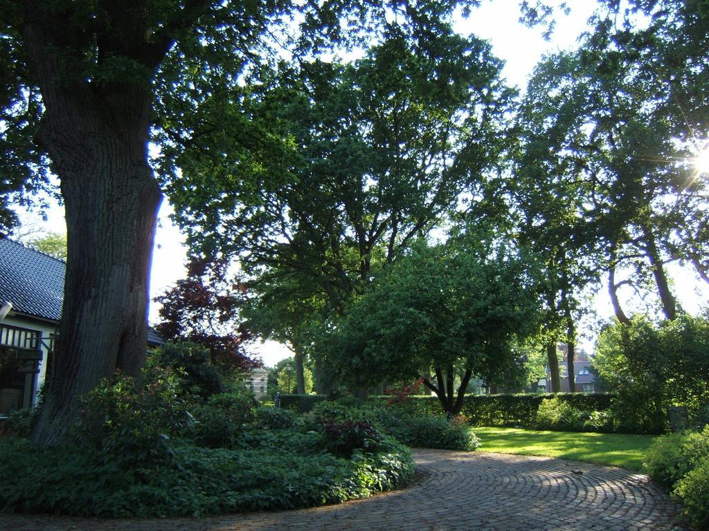 B&B"De Hassehof" Sellingen Екстер'єр фото