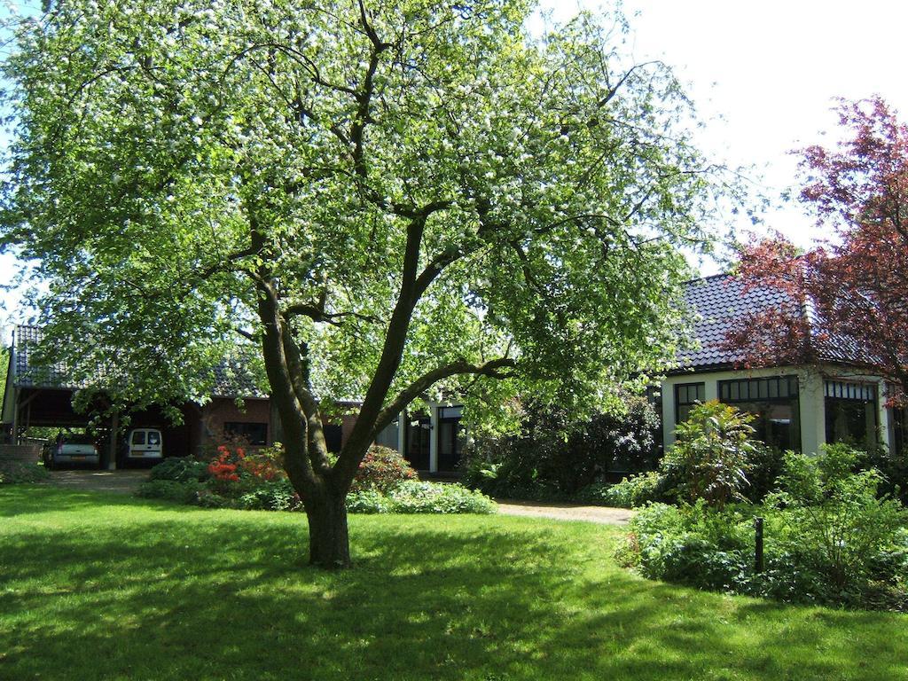 B&B"De Hassehof" Sellingen Екстер'єр фото